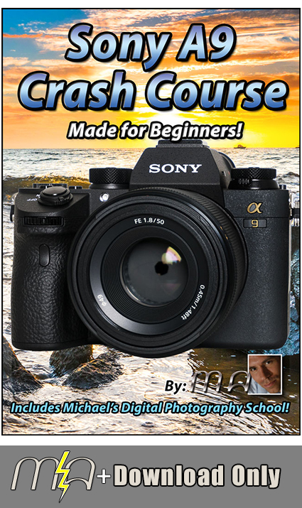 Sony A9 Crash Course - Download Only - Click Image to Close